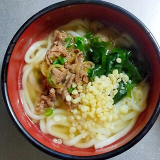 わかめと牛肉と天かすのうどん